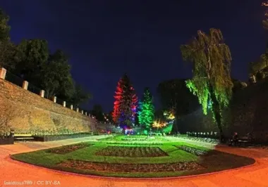 Młodzi z Głogowa pokazali wiedzę, która może kiedyś zatrzymać ogień