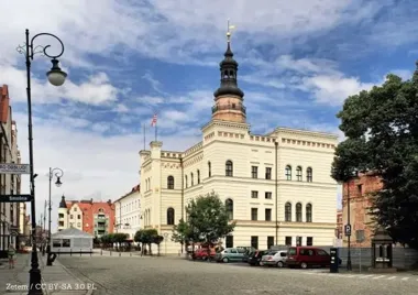 Ptaki wracają na głogowskie trasy, a wiosna ma tu własny głos